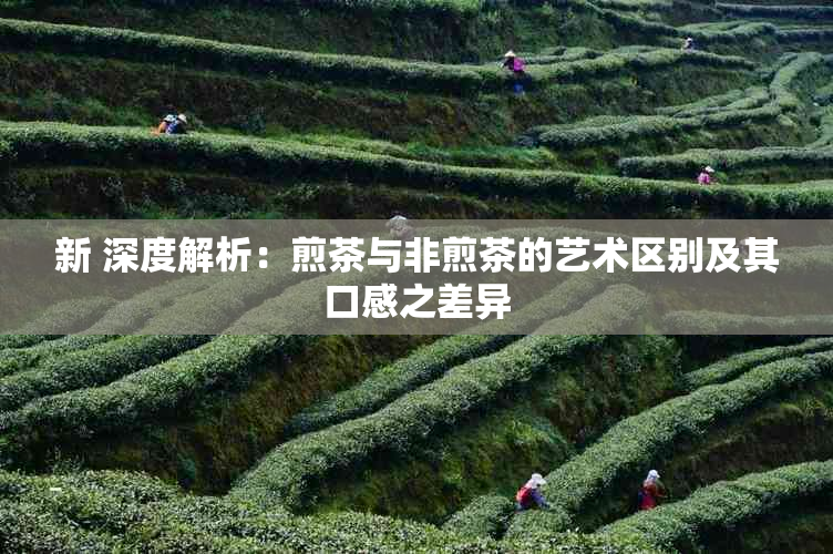 新 深度解析：煎茶与非煎茶的艺术区别及其口感之差异