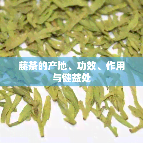 藤茶的产地、功效、作用与健益处