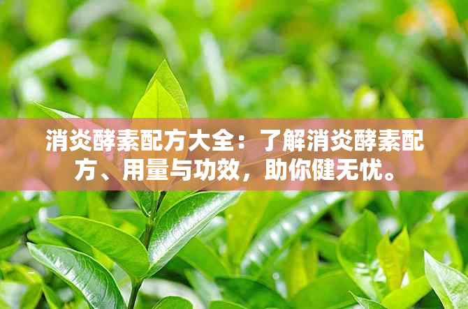 消炎酵素配方大全：了解消炎酵素配方、用量与功效，助你健无忧。