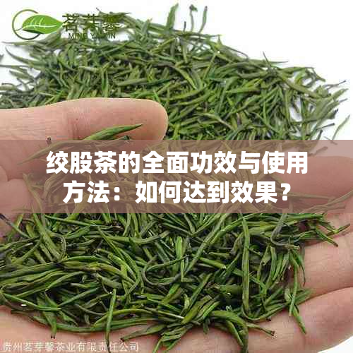 绞股茶的全面功效与使用方法：如何达到效果？