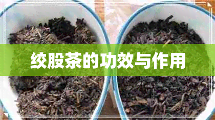 绞股茶的功效与作用