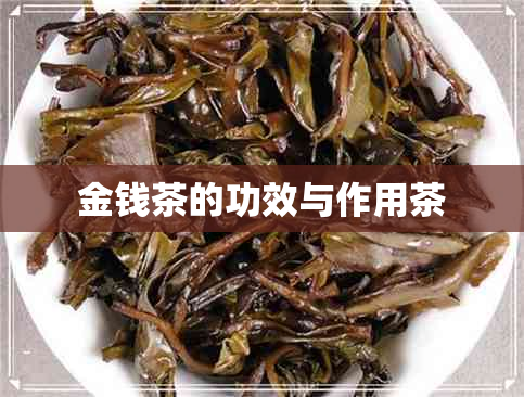 金钱茶的功效与作用茶