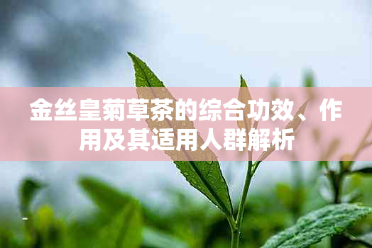 金丝皇菊草茶的综合功效、作用及其适用人群解析