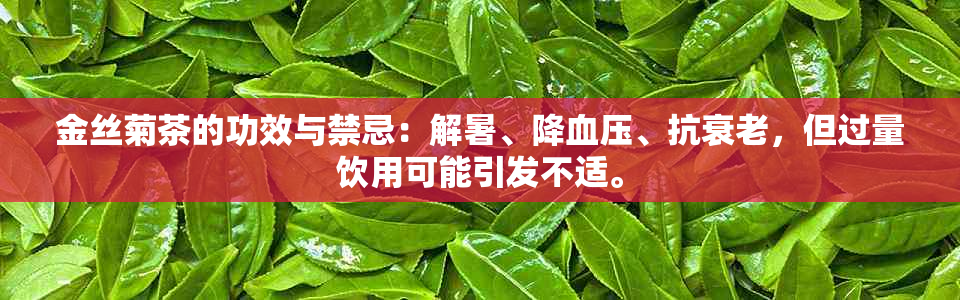 金丝菊茶的功效与禁忌：解暑、降血压、抗衰老，但过量饮用可能引发不适。