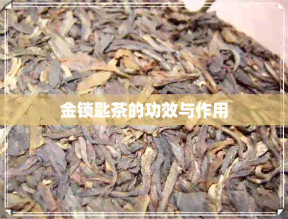 金锁匙茶的功效与作用