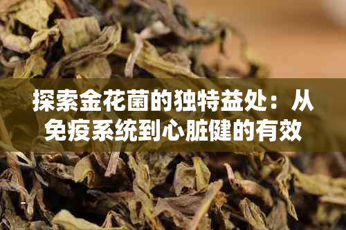 探索金花菌的独特益处：从免疫系统到心脏健的有效保护