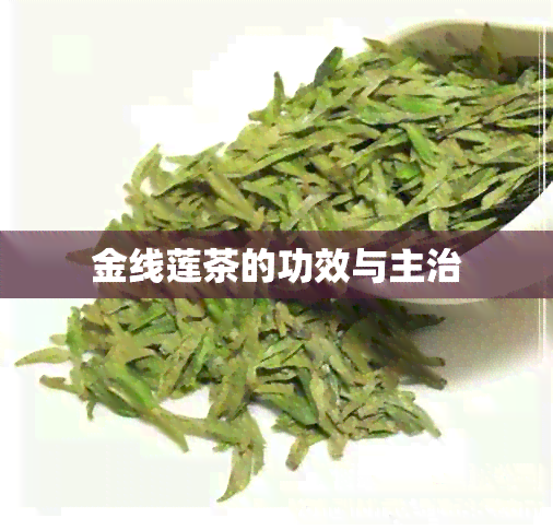 金线莲茶的功效与主治