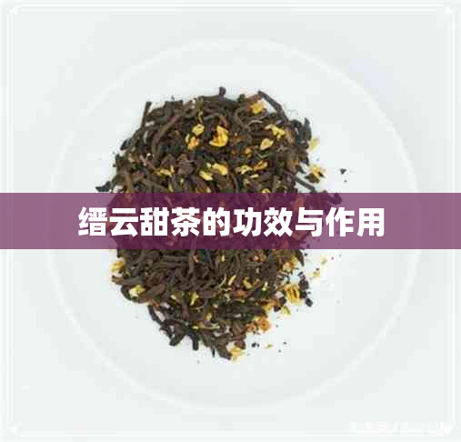 缙云甜茶的功效与作用