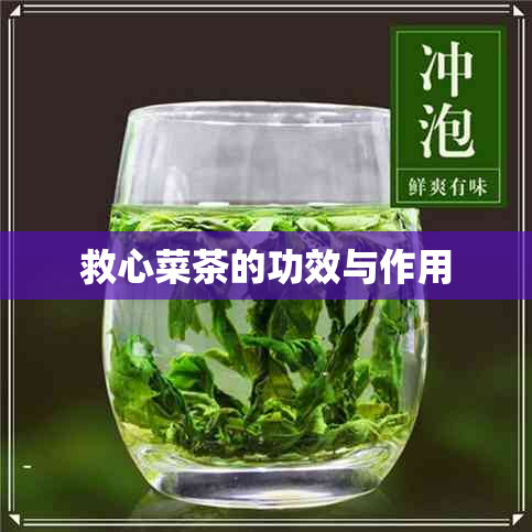 救心菜茶的功效与作用