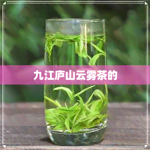 九江庐山云雾茶的