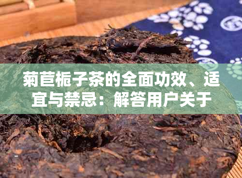 菊苣栀子茶的全面功效、适宜与禁忌：解答用户关于此茶的疑问