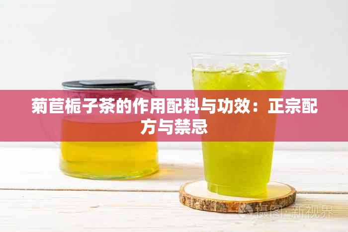 菊苣栀子茶的作用配料与功效：正宗配方与禁忌