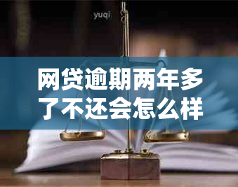 网贷逾期两年多了不还会怎么样都是不上的：探讨后果与应对策略