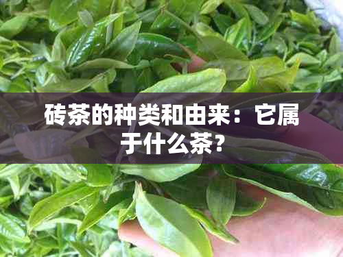 砖茶的种类和由来：它属于什么茶？