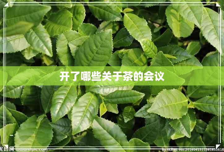 开了哪些关于茶的会议