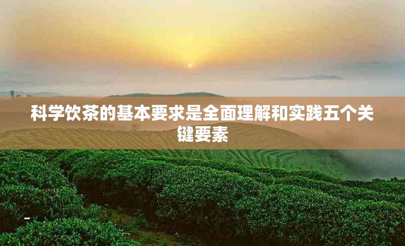 科学饮茶的基本要求是全面理解和实践五个关键要素