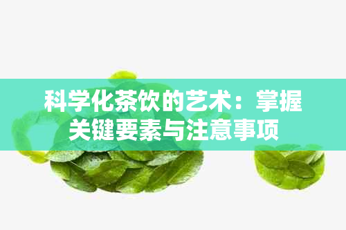 科学化茶饮的艺术：掌握关键要素与注意事项