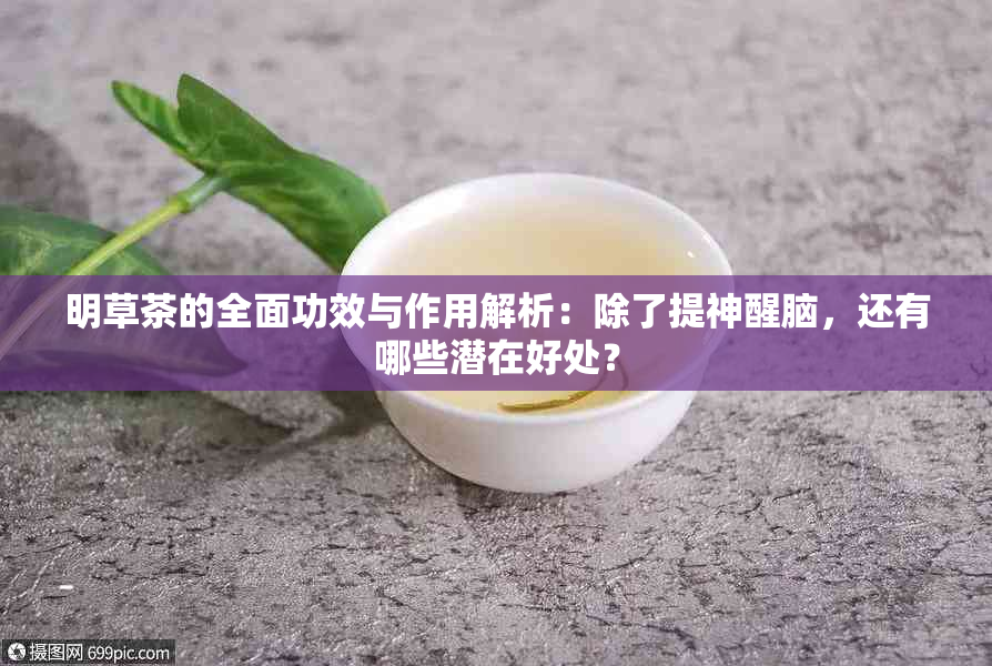 明草茶的全面功效与作用解析：除了提神醒脑，还有哪些潜在好处？