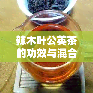 辣木叶公英茶的功效与混合泡饮方法