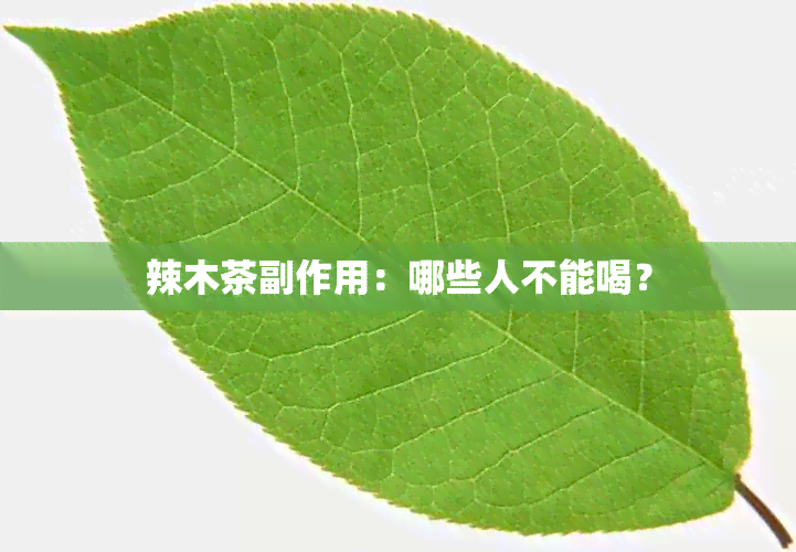 辣木茶副作用：哪些人不能喝？