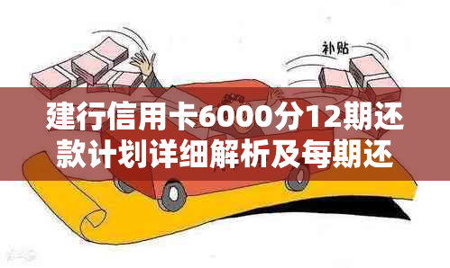 建行信用卡6000分12期还款计划详细解析及每期还款金额计算