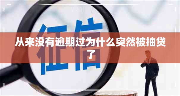 从来没有逾期过为什么突然被抽贷了