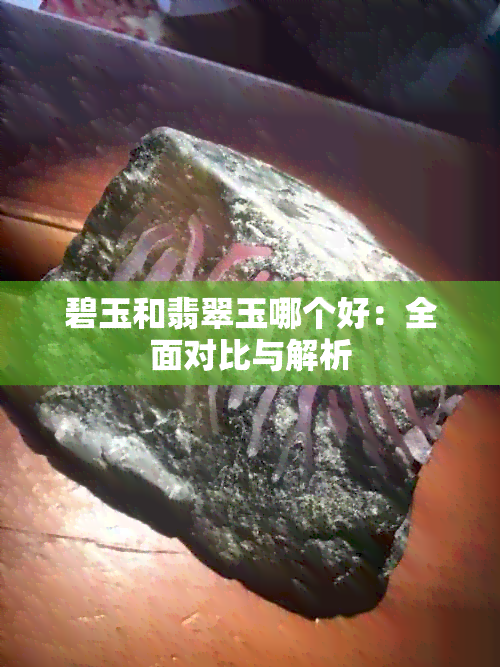 碧玉和翡翠玉哪个好：全面对比与解析