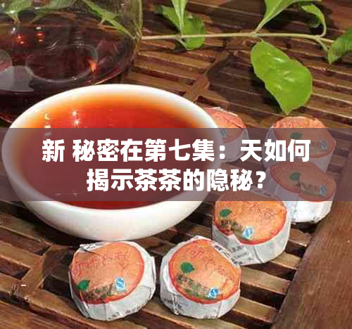 新 秘密在第七集：天如何揭示茶茶的隐秘？