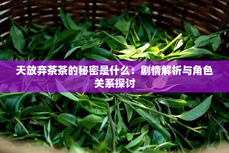 天放弃茶茶的秘密是什么：剧情解析与角色关系探讨