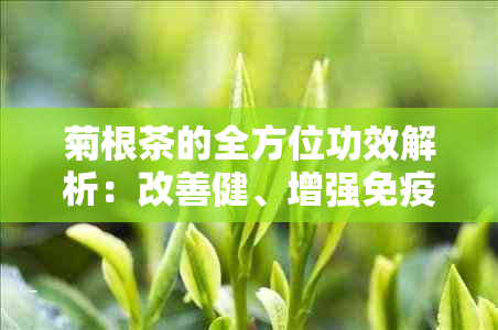 菊根茶的全方位功效解析：改善健、增强免疫力及其他潜在效果