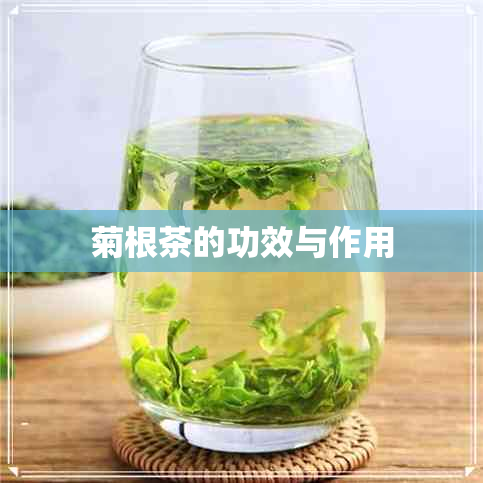 菊根茶的功效与作用