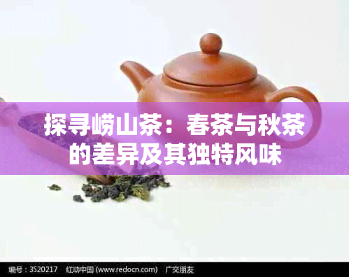 探寻崂山茶：春茶与秋茶的差异及其独特风味