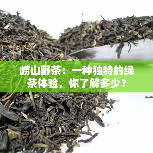 崂山野茶：一种独特的绿茶体验，你了解多少？