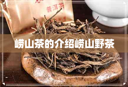 崂山茶的介绍崂山野茶