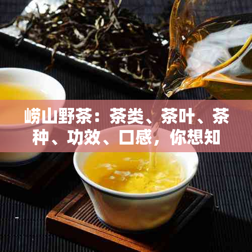 崂山野茶：茶类、茶叶、茶种、功效、口感，你想知道的一切！