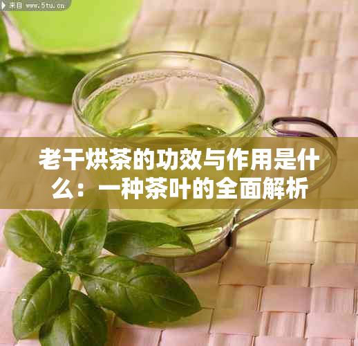 老干烘茶的功效与作用是什么：一种茶叶的全面解析