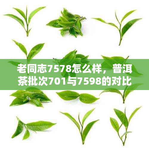 老同志7578怎么样，普洱茶批次701与7598的对比评价