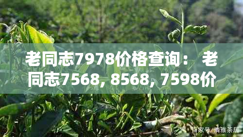 老同志7978价格查询： 老同志7568, 8568, 7598价格解析