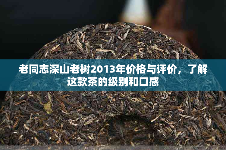 老同志深山老树2013年价格与评价，了解这款茶的级别和口感