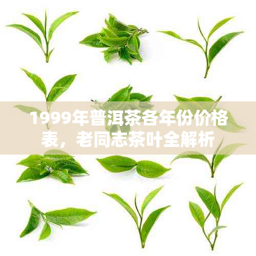 1999年普洱茶各年份价格表，老同志茶叶全解析