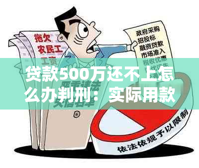 贷款500万还不上怎么办判刑：实际用款人不是本人，会面临什么后果？