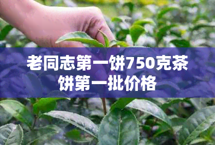 老同志之一饼750克茶饼之一批价格