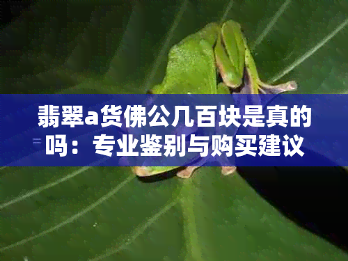 翡翠a货佛公几百块是真的吗：专业鉴别与购买建议