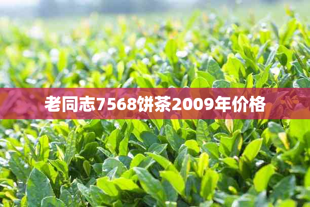 老同志7568饼茶2009年价格