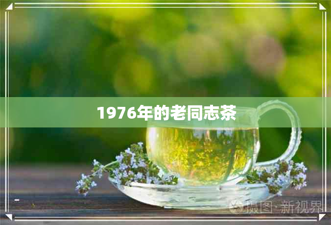 1976年的老同志茶