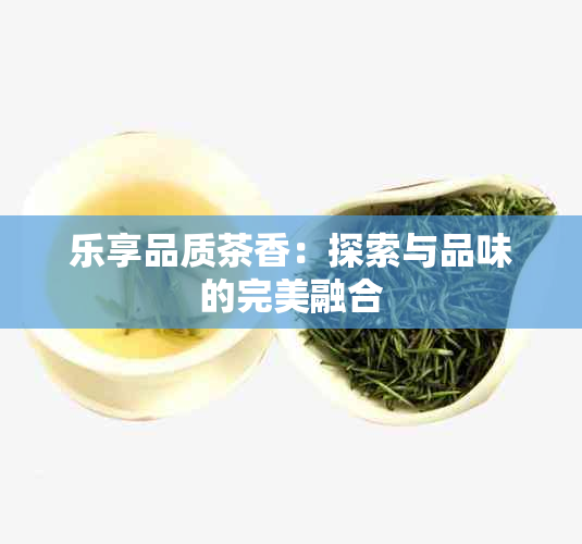 乐享品质茶香：探索与品味的完美融合