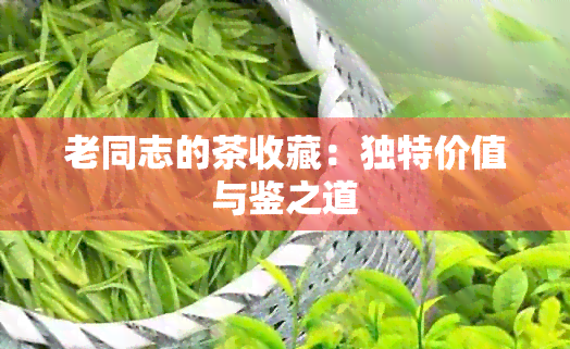 老同志的茶收藏：独特价值与鉴之道