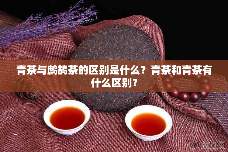 青茶与鹧鸪茶的区别是什么？青茶和青茶有什么区别？