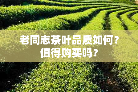 老同志茶叶品质如何？值得购买吗？