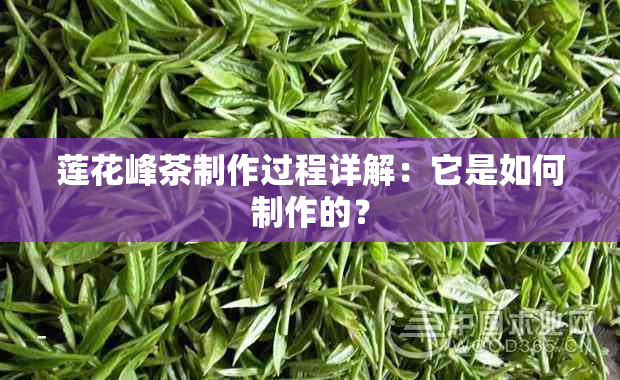 莲花峰茶制作过程详解：它是如何制作的？